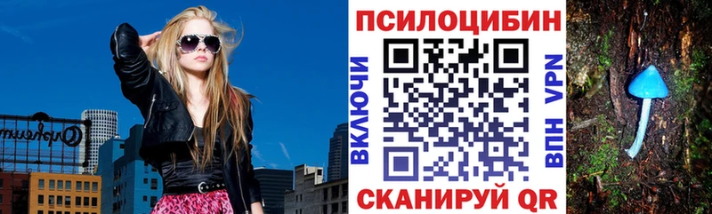 купить закладку Инза Псилоцибиновые грибы Cubensis